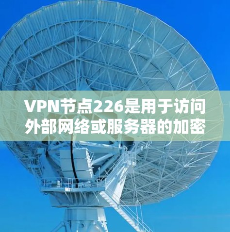 VPN节点226是用于访问外部网络或服务器的加密VPN服务。以下是关于该节点的详细信息
