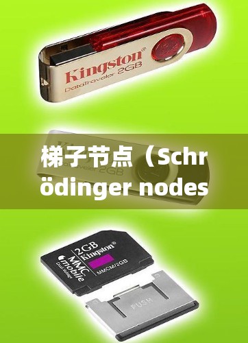梯子节点（Schrödinger nodes）是量子力学中一个重要的概念，通常出现在处理位移对称性或位移不变系统时。以下是关于梯子节点的详细解释