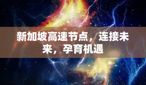 新加坡高速节点，连接未来，孕育机遇