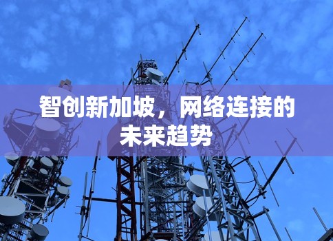 智创新加坡，网络连接的未来趋势