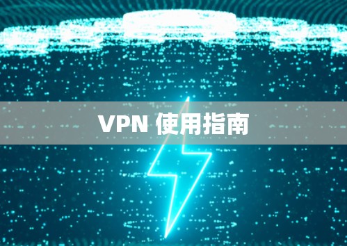 VPN 使用指南