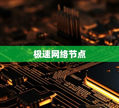 极速网络节点