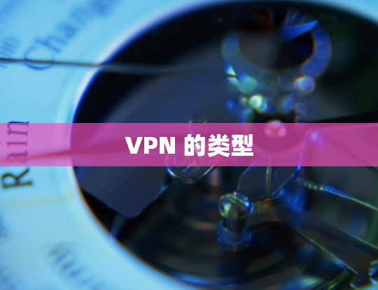 VPN 的类型