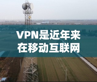 VPN是近年来在移动互联网时代逐渐兴起的一种娱乐和远程办公工具。随着移动互联网的快速发展，用户对VPN的需求也在不断增加。以下是最新版VPN的几种主要类型及其特点
