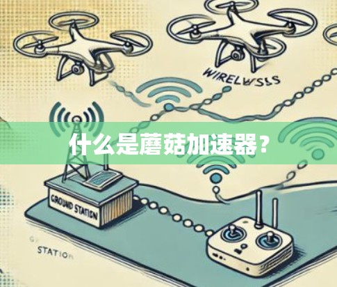 什么是蘑菇加速器？