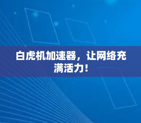 白虎机加速器，让网络充满活力！