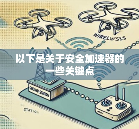 以下是关于安全加速器的一些关键点