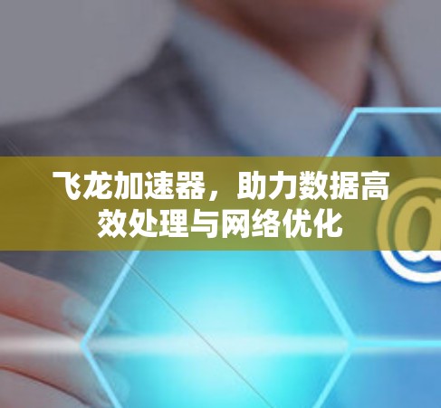 飞龙加速器，助力数据高效处理与网络优化