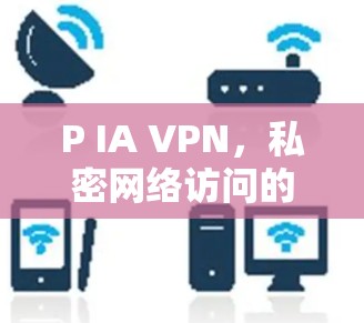 P IA VPN，私密网络访问的最佳选择