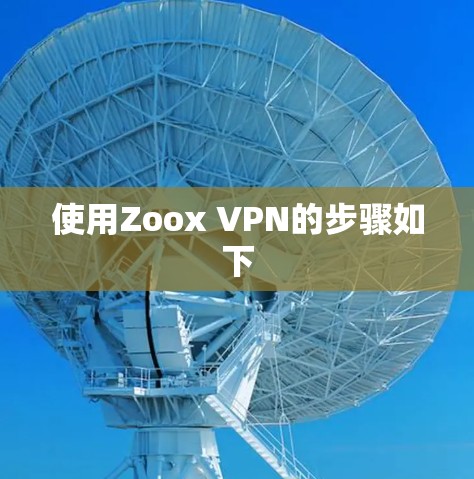 使用Zoox VPN的步骤如下