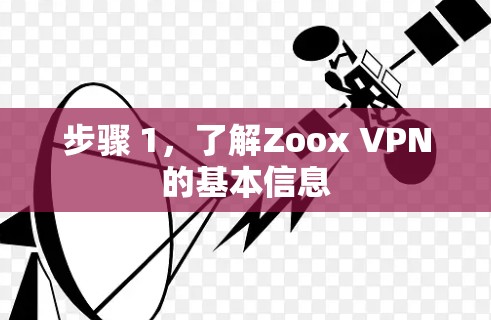 步骤 1，了解Zoox VPN的基本信息