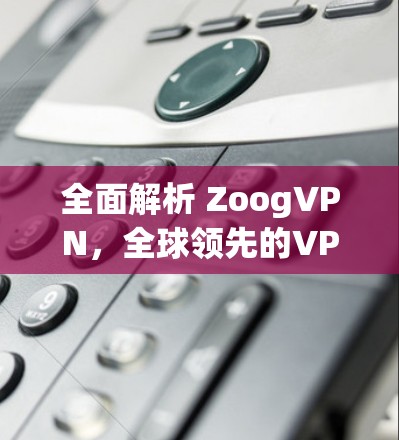 全面解析 ZoogVPN，全球领先的VPN服务，为你提供高效、安全的网络体验