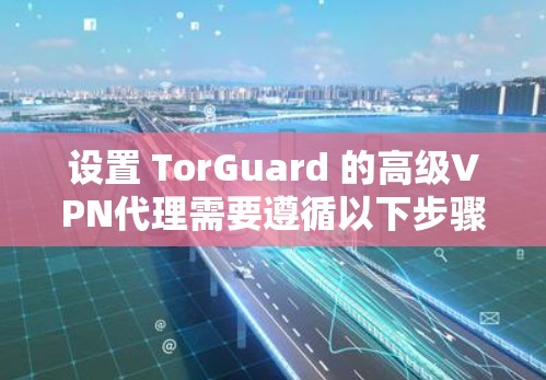 设置 TorGuard 的高级VPN代理需要遵循以下步骤，确保设置正确以获得安全的视频会议体验