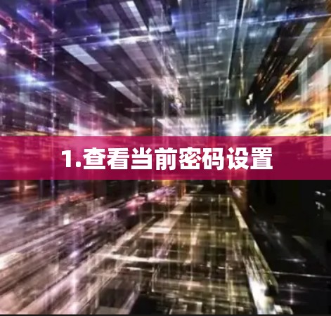 1.查看当前密码设置