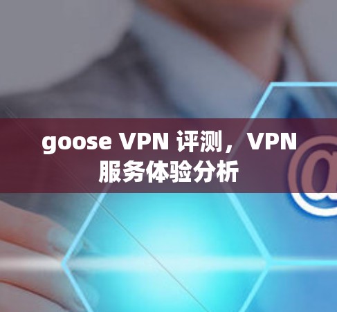 goose VPN 评测，VPN服务体验分析