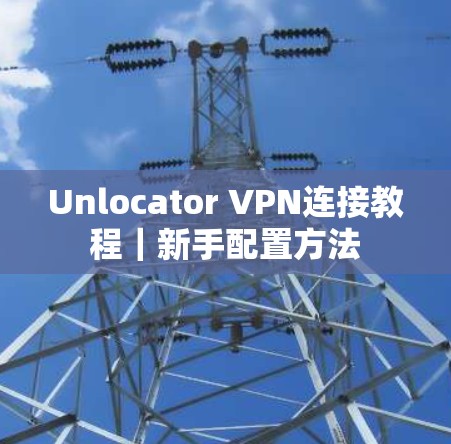 Unlocator VPN连接教程｜新手配置方法