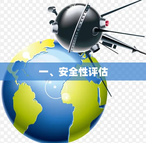 一、安全性评估