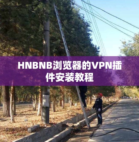 HNBNB浏览器的VPN插件安装教程 HNBNB浏览器的VPN插件安装教程