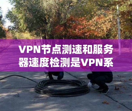 <strong>VPN节点</strong>测速和服务器速度检测是VPN系统安全性和性能的重要组成部分。以下是详细的步骤指南
