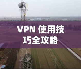 VPN 使用技巧全攻略 VPN 使用技巧全攻略