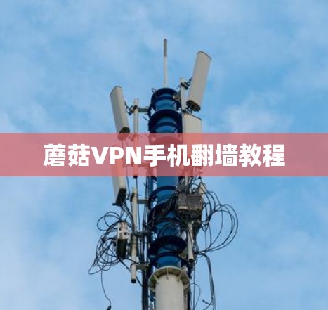 蘑菇VPN手机翻墙教程 蘑菇VPN手机翻墙教程