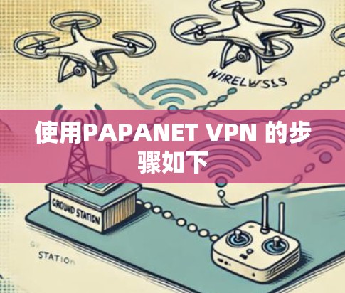 使用PAPANET VPN 的步骤如下 使用PAPANET VPN 的步骤如下