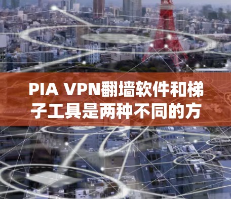 PIA VPN翻墙软件和梯子工具是两种不同的方法来绕过网络防火墙或访问特定的网络。以下是对这两种工具的详细分析