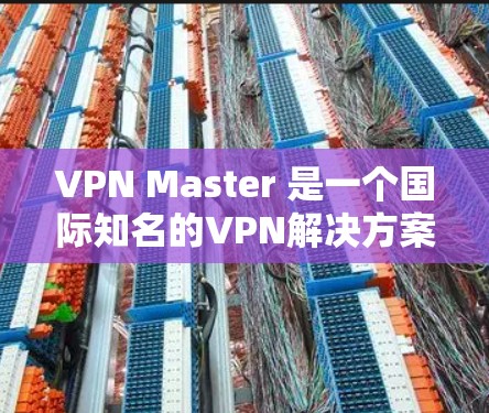 VPN Master 是一个国际知名的VPN解决方案，提供多种高级VPN服务，包括经典版、Plus、Advanced和Master。以下是关于VPN Master 的详细信息