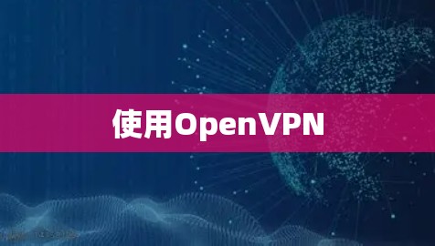 使用OpenVPN 使用OpenVPN