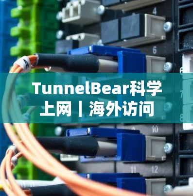 TunnelBear科学上网|海外访问 TunnelBear科学上网|海外访问