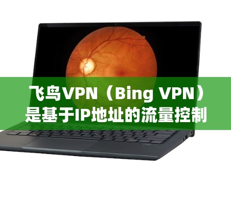 飞鸟VPN（Bing VPN）是基于IP地址的流量控制技术，允许用户在不同网络环境中使用，其速度因网络覆盖范围和设备配置而有所不同。以下是对飞鸟<strong>VPN节点</strong>速度的简要分析