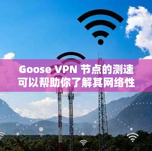 Goose VPN 节点的测速可以帮助你了解其网络性能和稳定性。以下是关于 Goose VPN 节点测速的一些常见信息和建议