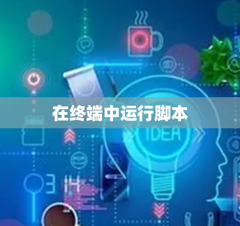 在终端中运行脚本 在终端中运行脚本