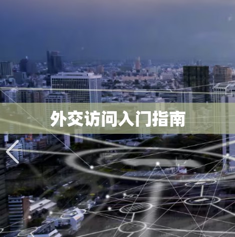 外交访问入门指南 外交访问入门指南