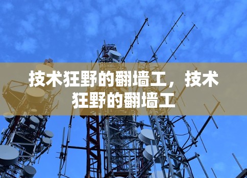 技术狂野的翻墙工,技术狂野的翻墙工 技术狂野的翻墙工,技术狂野的翻墙工