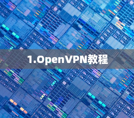 1.OpenVPN教程 1.OpenVPN教程