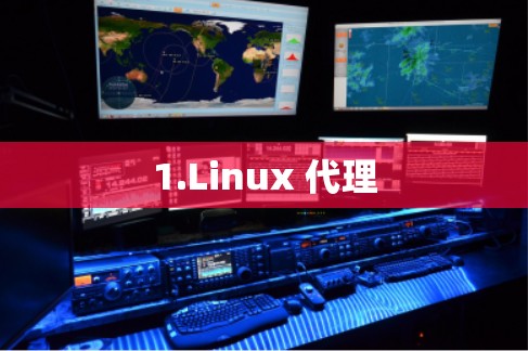 1.Linux 代理 1.Linux 代理