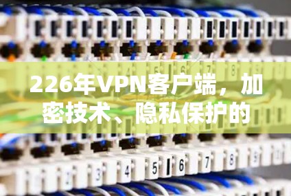 226年VPN客户端，加密技术、隐私保护的终极挑战与解决方案