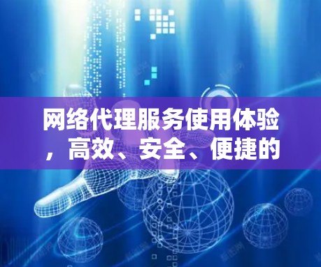 网络代理服务使用体验，高效、安全、便捷的网络连接解决方案