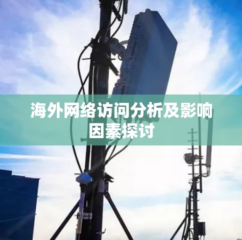 海外网络访问分析及影响因素探讨 海外网络访问分析及影响因素探讨