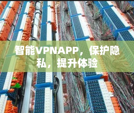 智能VPNAPP,保护隐私,提升体验 智能VPNAPP,保护隐私,提升体验