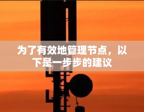 为了有效地管理节点,以下是一步步的建议 为了有效地管理节点,以下是一步步的建议