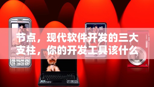 节点,现代软件开发的三大支柱,你的开发工具该什么样? 节点,现代软件开发的三大支柱,你的开发工具该什么样?