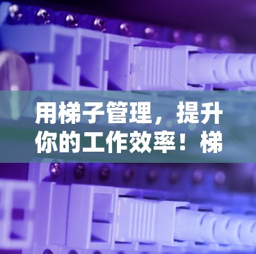 用梯子管理，提升你的工作效率！梯子APP体验分析